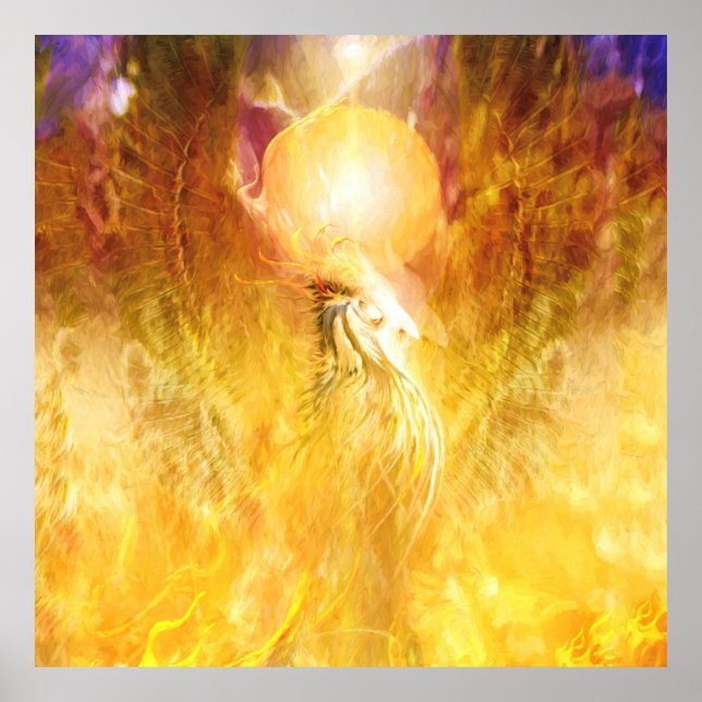 Affiche TRANSMUTATION D'Oiseaux De Feu Phoenix (Devant)