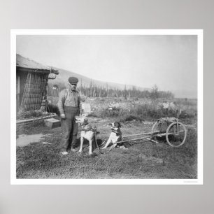 Affiche Transport d'Alaska 1916 de chariot de chien