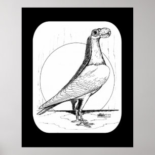 Affiche Transporteur anglais Pigeon1978