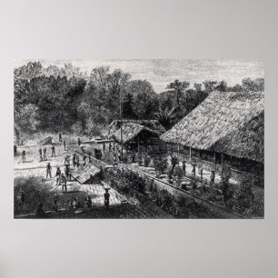 Affiche Travailleurs dans une plantation de café