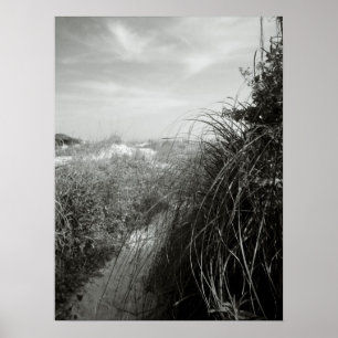 Affiche Traversée des dunes