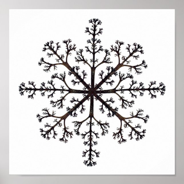 Affiche Tree Mandala (Devant)