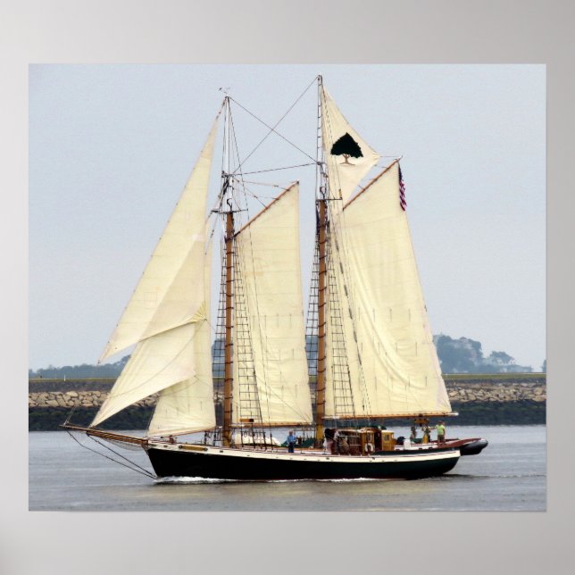 Affiche Tree of Life (Devant)