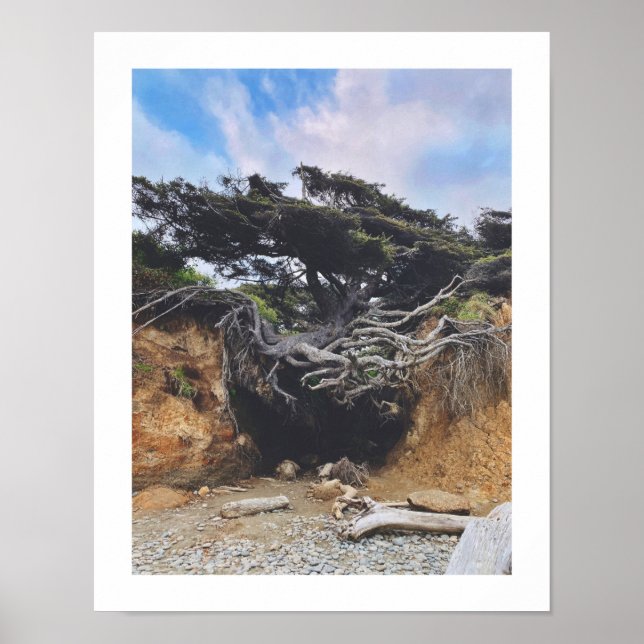 Affiche Tree of Life (Devant)