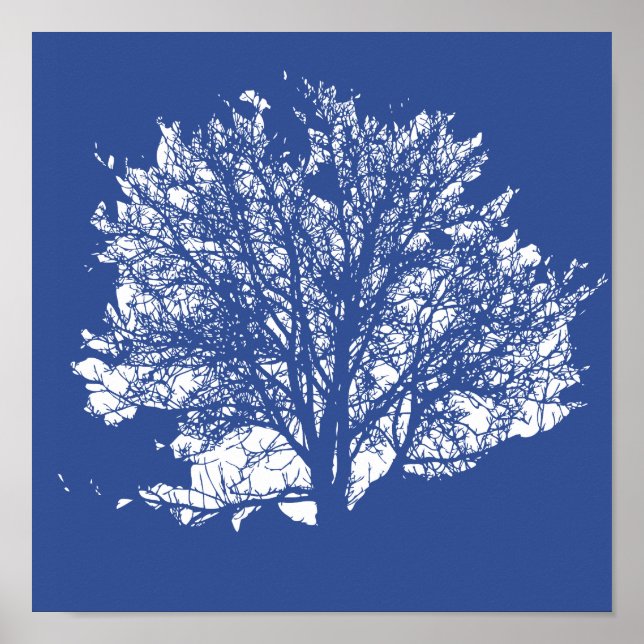 Affiche Tree of Life (Devant)