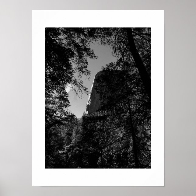 Affiche Treeview Yosemite Photographie noir et blanc (Devant)