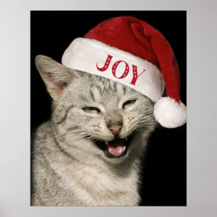 Affiche Très drôle Père Noël Chat Rire Photo Noël