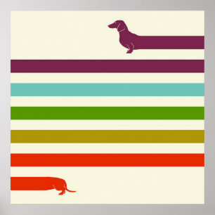 Affiche Très Long Dachshund Coloré Amateur de Husky