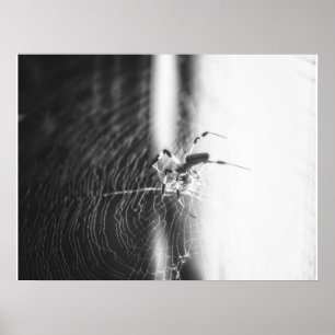 Affiche Tressage à l'araignée mignonne Cadeau de Spider