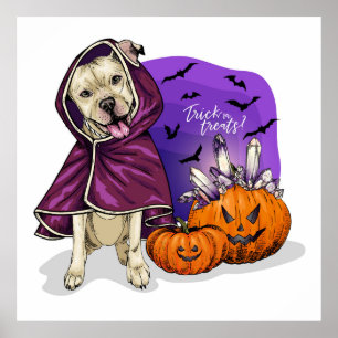 Affiche Trick Ou Treat Chien