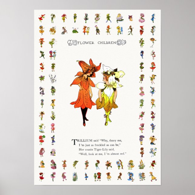 Affiche Trillium et Tiger-Lily, Livre de fleurs géantes (Devant)