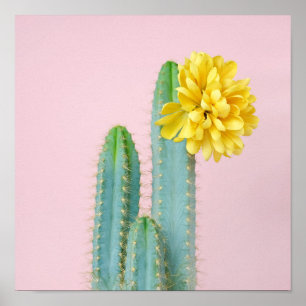 Affiche Trio bleu de cactus