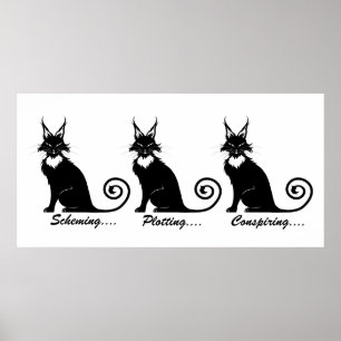Affiche Trio de chats en lot