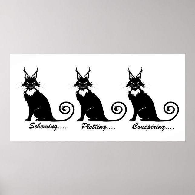 Affiche Trio de chats en lot (Devant)