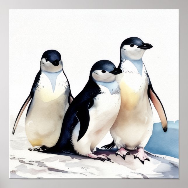 Affiche Trio de pingouins (Devant)