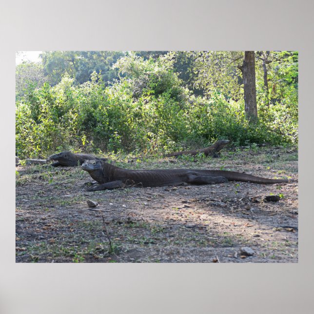 Affiche Trio des dragons (Devant)