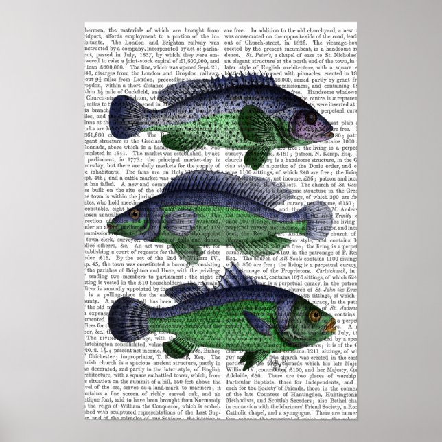 Affiche Trio poisson bleu et vert (Devant)