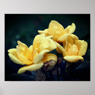 Affiche Trio rose jaune