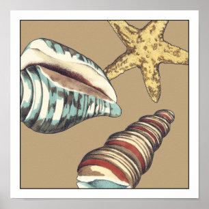 Affiche Trio Shell sur Khaki