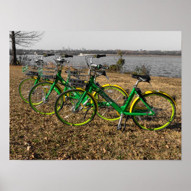 Affiche Triplés de vélos (Devant)