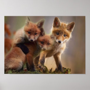 Affiche Triplets Foxy