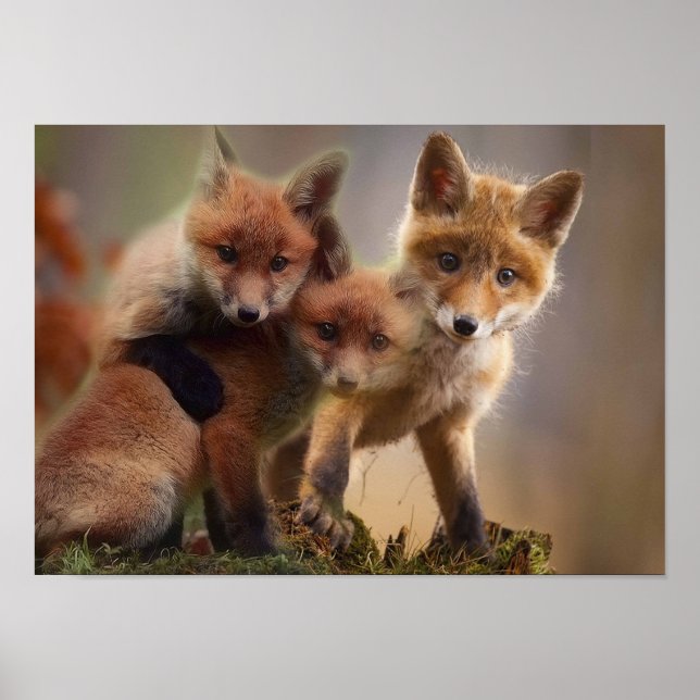Affiche Triplets Foxy (Devant)