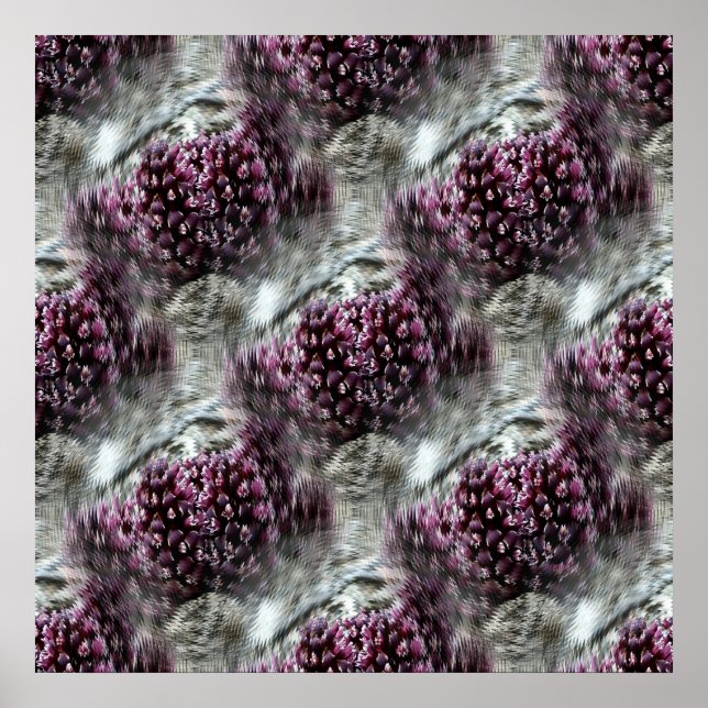 Affiche Trippin' Tidepools.... (Devant)