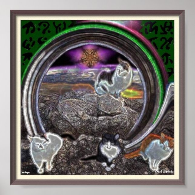 Affiche Trippy Cats (Devant)