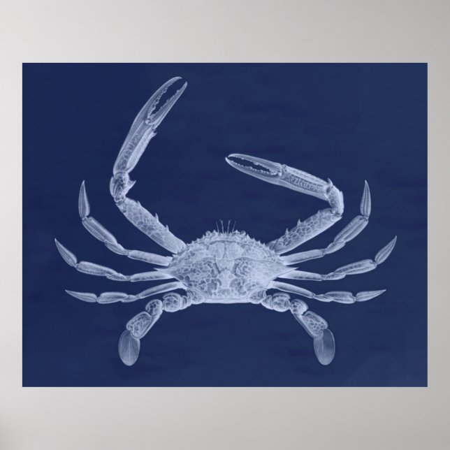Affiche Triptyque de crabe surdimensionné en bleu (Devant)