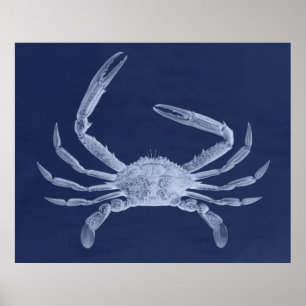 Affiche Triptyque surdimensionné de crabe dans le bleu