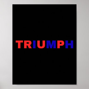 Affiche Triumphalisme d'un partisan de Trump