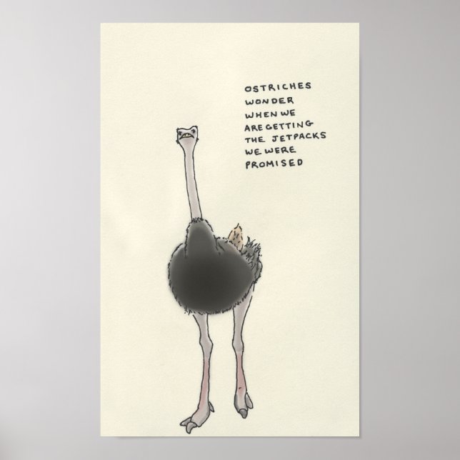 Affiche trivia ostrich (Devant)