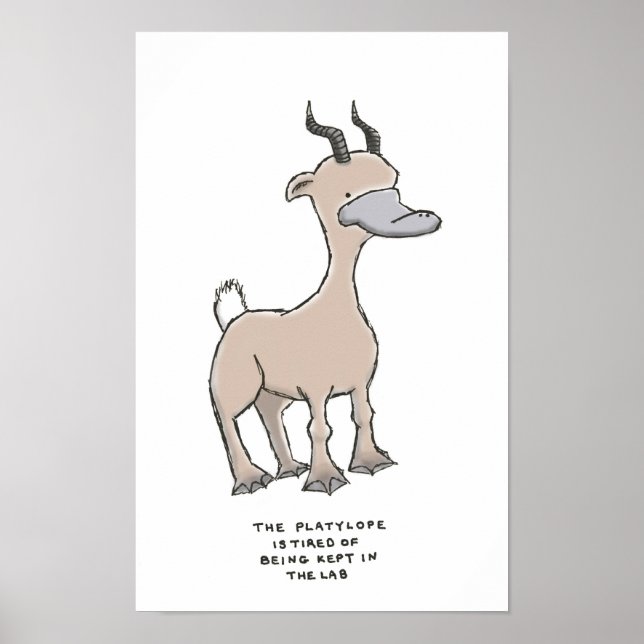 Affiche trivia platylope (Devant)