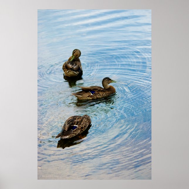 Affiche Trois (Devant)