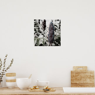Affiche Trois 16"