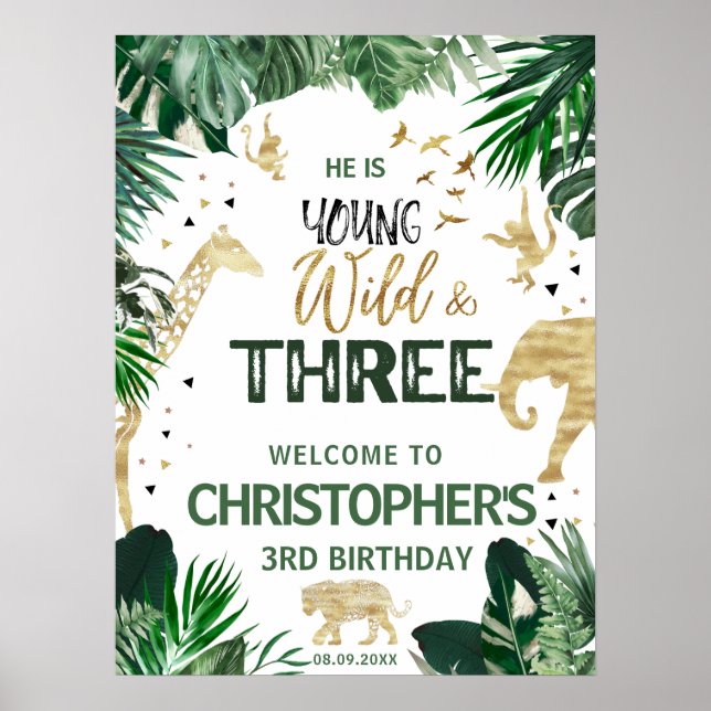 Affiche Trois anniversaires de enfants de la jungle sauvag (Devant)