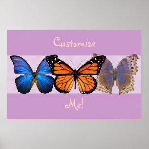 Affiche Trois beaux papillons personnalisables