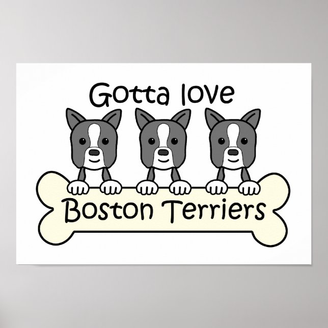 Affiche Trois Boston Terriers (Devant)