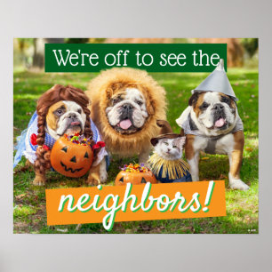 Affiche Trois Bulldogs en costumes