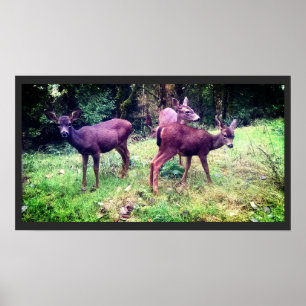 Affiche Trois Cerfs-Bébés amicaux