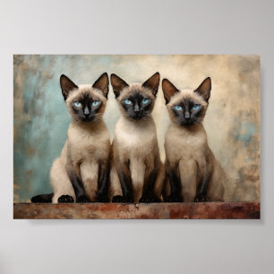 Affiche Trois chats siamois