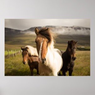 AFFICHE TROIS CHEVAUX COULEUR COULEUR COULEUR COULEUR COUL