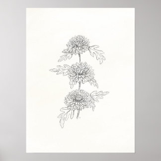 Affiche Trois chrysanthèmes Imprimer