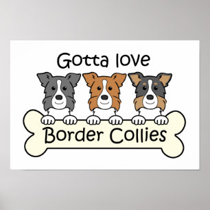 Affiche Trois colleys de frontière