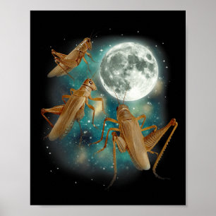 Affiche Trois Criquets Lune 3 Insecte Hurlement Meme Magie