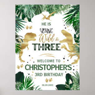 Affiche Trois Dinosaures sauvages anniversaires de enfants