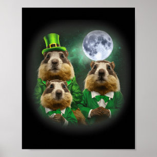 Affiche Trois Groundhog Lune 3 Jour de la marmotte Tête St