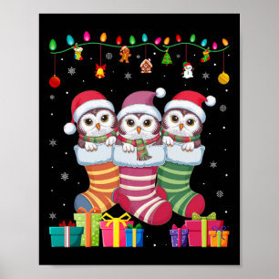 Affiche Trois hiboux des neiges en chaussettes drôles garç
