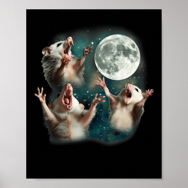 Affiche Trois Lune Possum _ 3 Opossum Funny Bizarre Maudit (Devant)