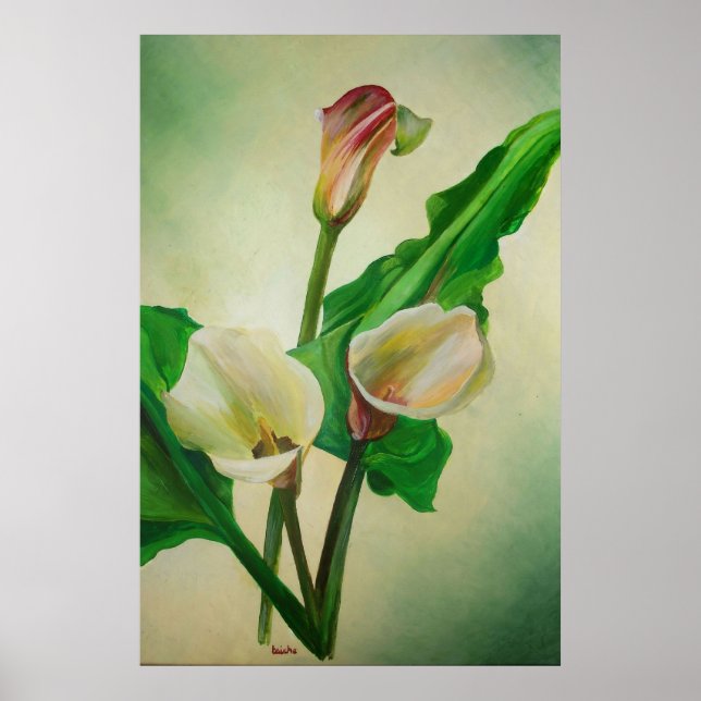 Affiche Trois Lys Calla Étonnant Botanique Acrylique (Devant)